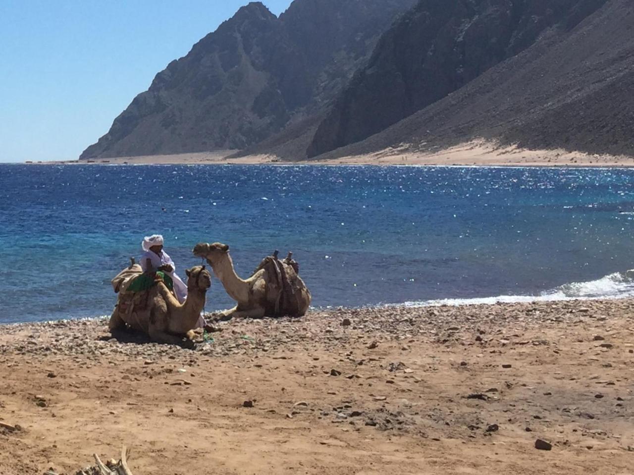 Inmo Divers Home Dahab Exteriér fotografie